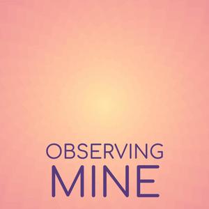 Observing Mine