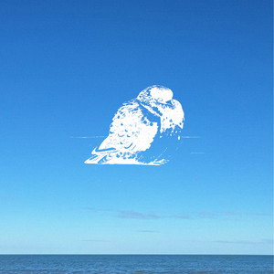 Eu Seria Um Passarinho