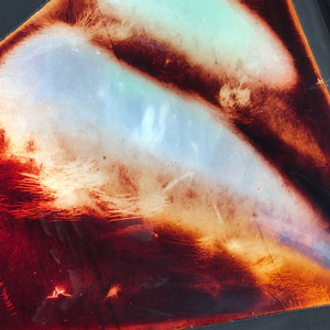 Cucaracha (Explicit)