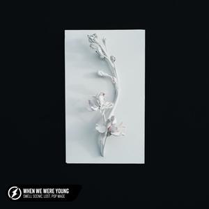 When We Were Young (Acoustic)