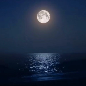 Midnight Ave (Explicit)