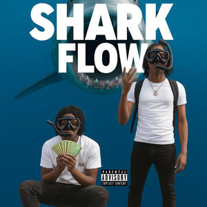 Shark flow (feat. s0lo6k) (Explicit)