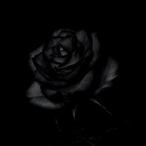 Rose Out The Mud (Explicit)