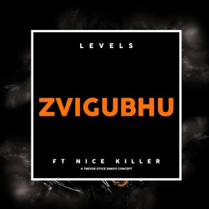 Zvigubhu