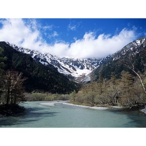 あなたは夢追い人 feat.GUMI