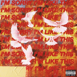 I'm Sorry I'm Like This (Explicit)