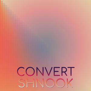 Convert Shnook