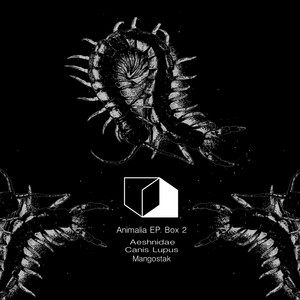 Mangostak (Original Mix)