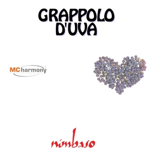 Grappolo d'uva