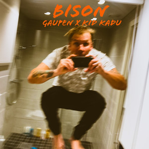 Bison (Explicit)