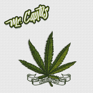 Y No Los Miro (Explicit)