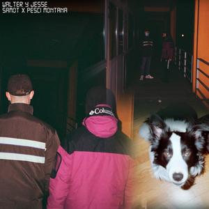 Walter y Jesse (Explicit)