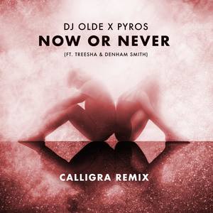 Now or Never(feat. Treesha & Denham Smith) (Calligra Remix)