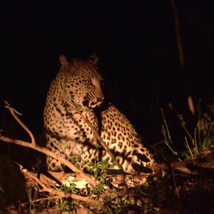 It Always Means More to Me