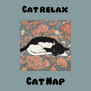 Cat Relax