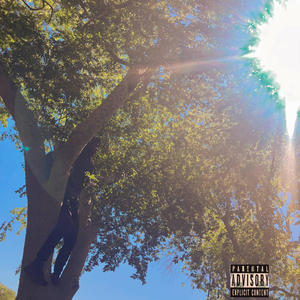 Money trees (Explicit)