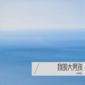 我的大男孩-刘德斌