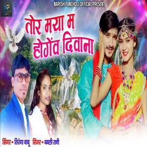 Tor Maya Ma Hogev Divana