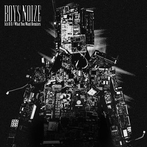 Boys Noize - What You Want
