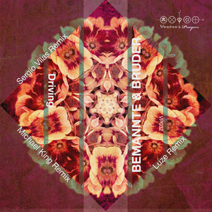 Driving (Michael King Remix)