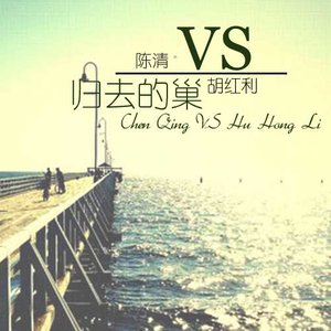 归去的巢