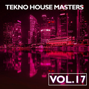 Tekno House Masters, Vol. 17