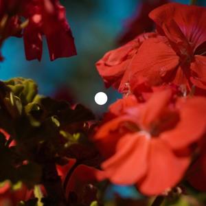 if it's love (wah u need?)