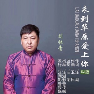 来到草原爱上你 (DJ版)