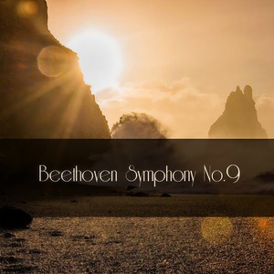 Symphony No. 9 in D Minor, Op. 125: IV. Presto - “Freude, Schoner Gotterfunker” - Andante maestoso – Allegro energico, sempre ben marcato