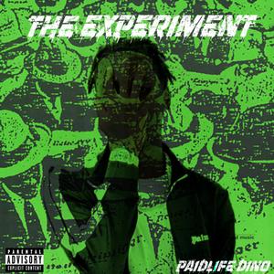 The Experiment (Explicit)