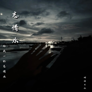 忘情水(给我一杯忘情水)封面