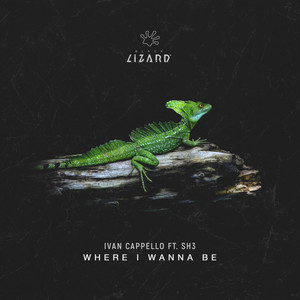 Where I Wanna Be(feat. SH3) (Extended Mix)