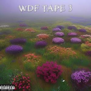 Do Or Die (WDF TAPE 3 BONUS) [Explicit]