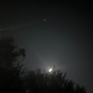 Neon Truck (Explicit)