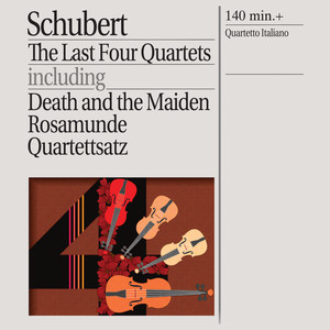 String Quartet No. 14 in D Minor, D.810 -"Death and the Maiden" - 2. Andante con moto (D小调第14号弦乐四重奏，作品810“死与少女” - 第二乐章 生动的行板)