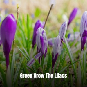 Green Grow The Lilacs