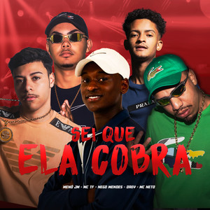 Sei Que Ela Cobra (Explicit)