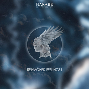 Harabe Reimagined Feelings I