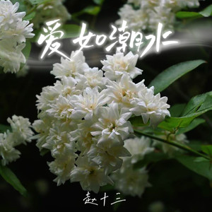 爱如潮水
