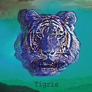 Tigris