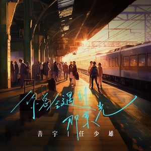 善宇_任少雄《你总会遇到那束光》[MP3_LRC]_MP3免费下载