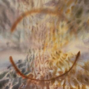 rapture (feat. Marcus Whale)