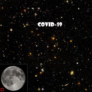 Covid 19 (Explicit)