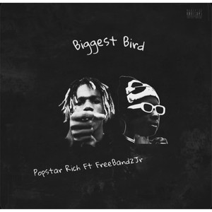 Biggest Bird (feat. FreeBandzJr) [Explicit]