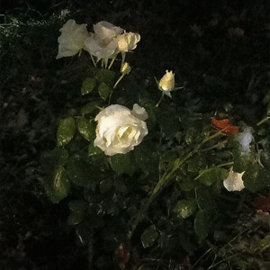 #повиртим (Explicit)