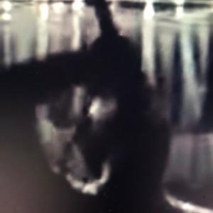 Omega Devine - Phantom VIP(feat. Eaton TDR) (Explicit)