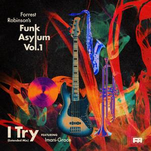 I Try (feat. Imani-Grace) (Extended Mix)