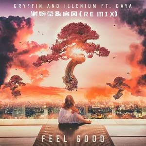 ILLENIUM-Feel good - bootleg (启风/谢婉莹奶奶 Remix)