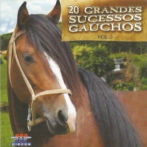 20 Grandes Sucessos Gaúchos, Vol. 3