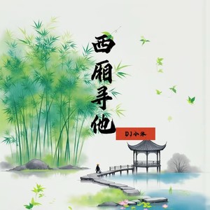 西厢寻他 (DJ小沐0.9x)